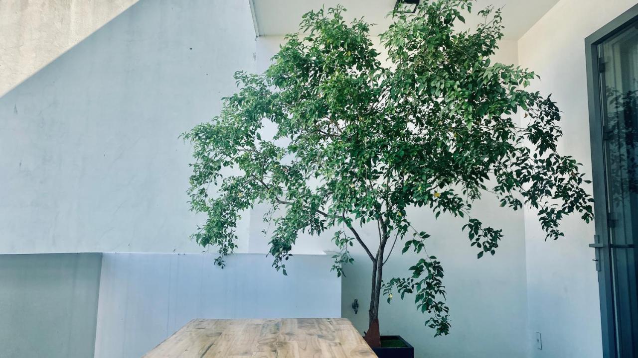 LALIN HOME - Khách sạn căn hộ GẦN BIỂN Mỹ Khê Da Nang Esterno foto